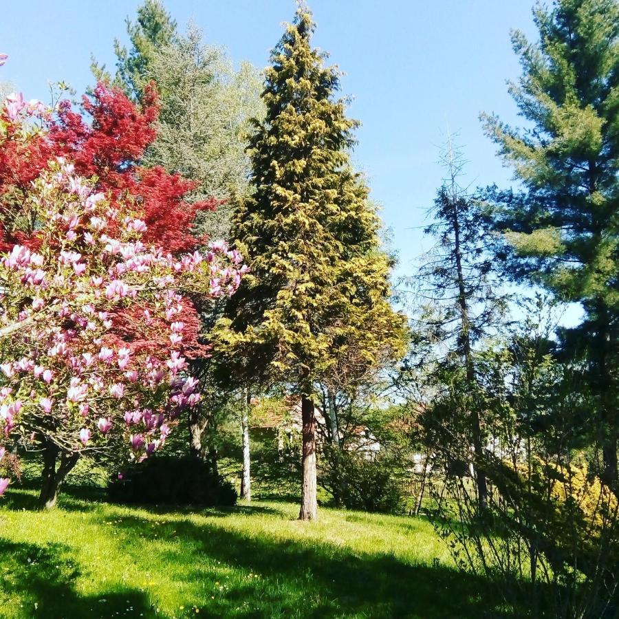 Takovo - Odmor U Selu Villa กอร์นีย์มิลาโนวัซ ภายนอก รูปภาพ