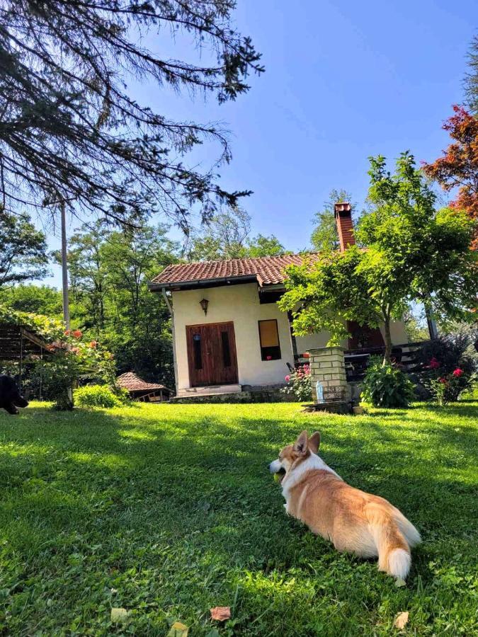 Takovo - Odmor U Selu Villa กอร์นีย์มิลาโนวัซ ภายนอก รูปภาพ